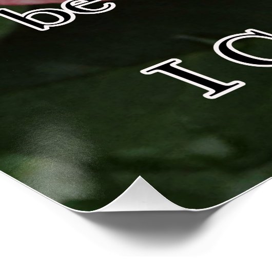 ぬれたバラ ポスター (コーナー)