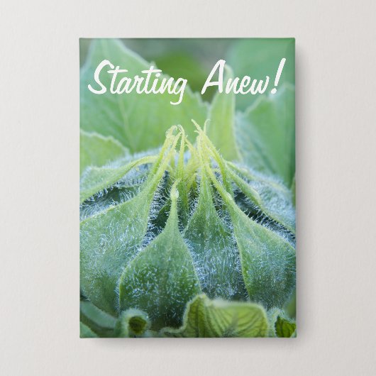 ぬれたヒマワリの芽のクローズアップの写真 缶バッジ (正面)