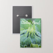 ぬれたヒマワリの芽のクローズアップの写真 缶バッジ (正面/裏面)