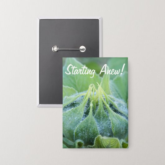 ぬれたヒマワリの芽のクローズアップの写真 缶バッジ (正面/裏面)