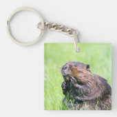 ぬれたビーバー キーホルダー (正面)
