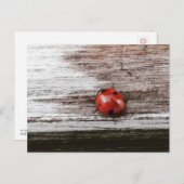 ぬれた木のはがきにラディバグ ポストカード (正面/裏面)