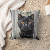 ぬれた窓から眺める猫 クッション (ブランケット)