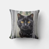 ぬれた窓から眺める猫 クッション (正面)