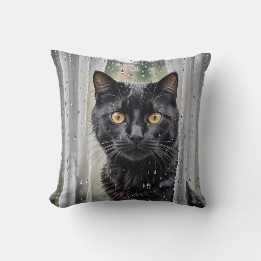 ぬれた窓から眺める猫 クッション (正面)