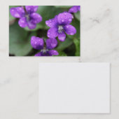 ぬれた紫色のバイオレットの名刺 名刺 (正面/裏面)