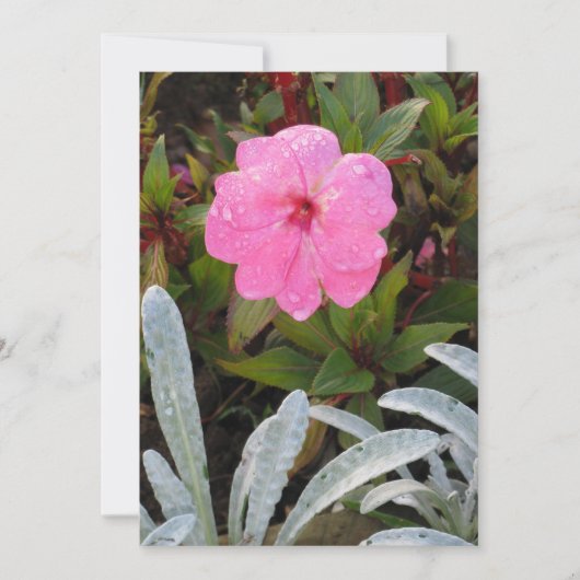 ぬれた花の招待カスタマイズ、 招待状 (正面)