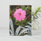 ぬれた花の招待カスタマイズ、 招待状 (スタンド正面)