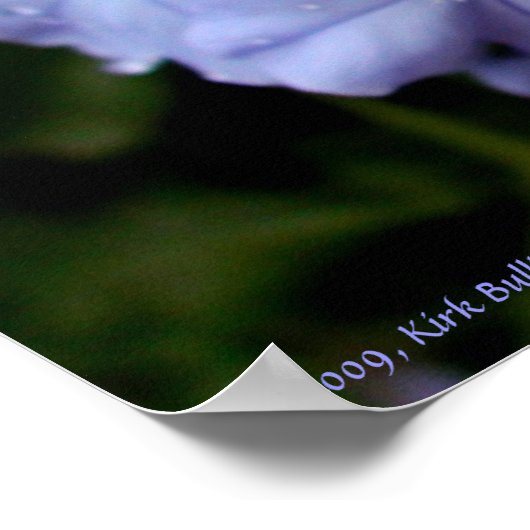 ぬれた花 ポスター (角)