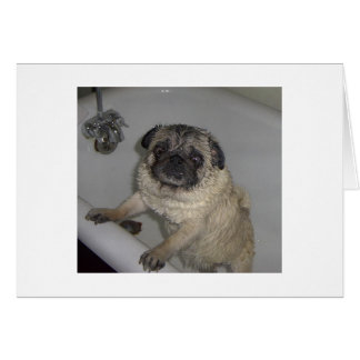 ぬれたpooter、空白のなカード