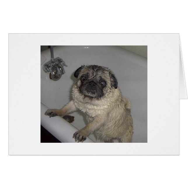 ぬれたpooter、空白のなカード (正面横)