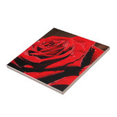 ぬれ独身のた赤バラ花瓦 タイル (側面)