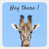 ねえキリンおもしろいの写真と文字 スクエアシール (正面)