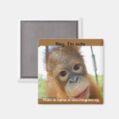 ねえ、私は可愛い霊長類 マグネット (正面/裏面)