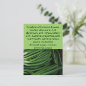 ねぎ/ねぎ緑はがき ポストカード (スタンド正面)