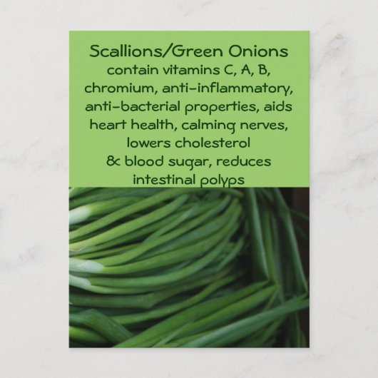 ねぎ/ねぎ緑はがき ポストカード (正面)