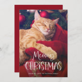 ねこからのクリスマスメッセージ | かわいいユーモアあふれるペットの猫の写真 シーズンカード (正面/裏面)