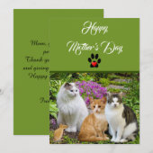 ねこからハッピーマザーズデー フラットカード 招待状 (正面/裏面)