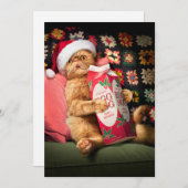 ねこがエッグノッグを飲む 招待状 (正面/裏面)