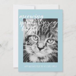 ねこたちの輝くスピリット あなたの猫の写真 ホリデーカード