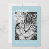 ねこたちの輝くスピリット あなたの猫の写真 ホリデーカード (正面)