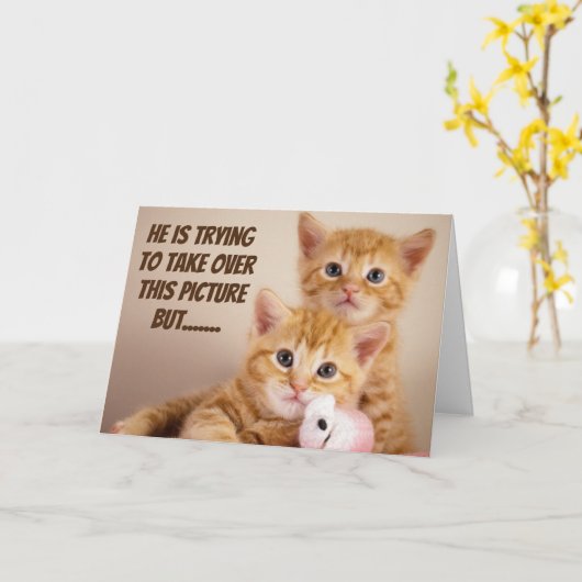 ねこちゃんたちからの『新しいお家』おめでとう カード (黄色い花)