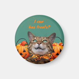 ねこちゃんのおやつ マグネット