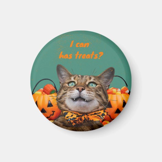 ねこちゃんのおやつ マグネット (正面)