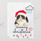 ねこちゃんのクリスマスサンタ シーズンカード (正面/裏面)