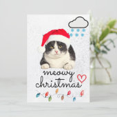 ねこちゃんのクリスマスサンタ シーズンカード (スタンド正面)