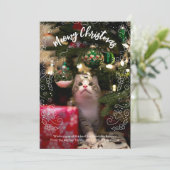 ねこちゃんのクリスマス写真カード 招待状 (スタンド正面)