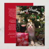 ねこちゃんのクリスマス写真カード 招待状 (正面/裏面)