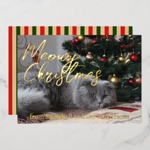 ねこちゃんのクリスマス カスタム猫写真 箔シーズンカード