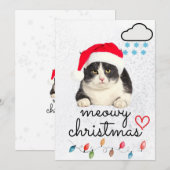 ねこちゃんのクリスマス サンタキャット シーズンカード (正面/裏面)