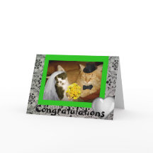 ねこちゃんの結婚