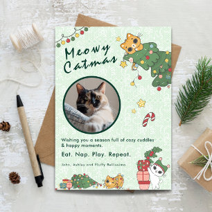 ねこねこクリスマス かわいい猫のクリスマス写真 シーズンカード