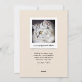 ねこねこクリスマス 猫好きな人のためのホリデー写真カード シーズンカード (裏面)