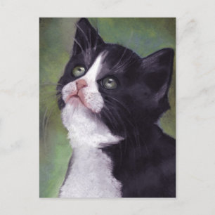 ねこを描いたオイルパステル画:上を見上げる猫 ポストカード