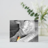 「ねこアヒル食べ物を与えハガキを止めろって ポストカード (スタンド正面)