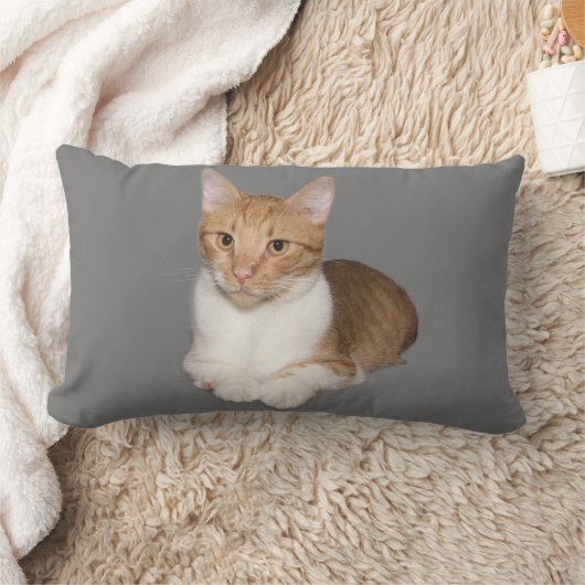 ねこカドル生姜と白ピロー ランバークッション (ブランケット)