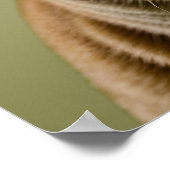 ねこリンゴ ポスター (角)