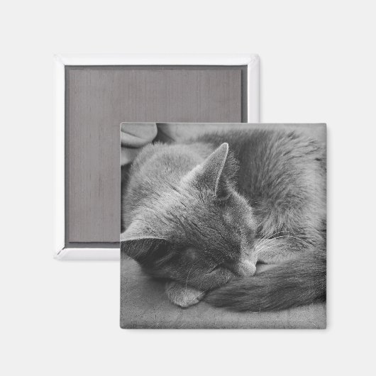 ねこ磁石 マグネット (正面/裏面)