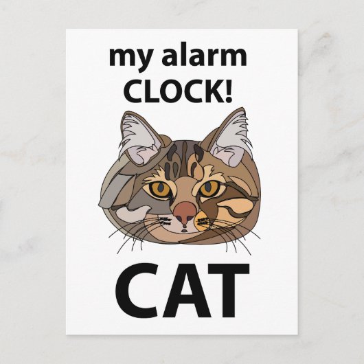 ねこ顔の目覚まし時計 タビーキャット ポストカード (正面)