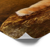 ねこ ポスター (角)