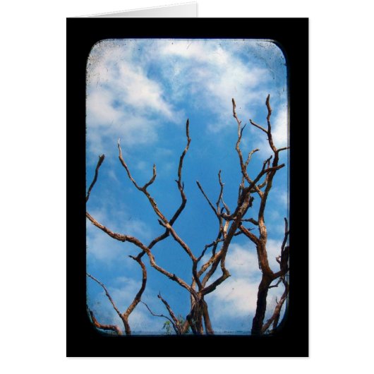 ねじれた (正面)