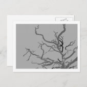 ねじれた ポストカード (正面/裏面)