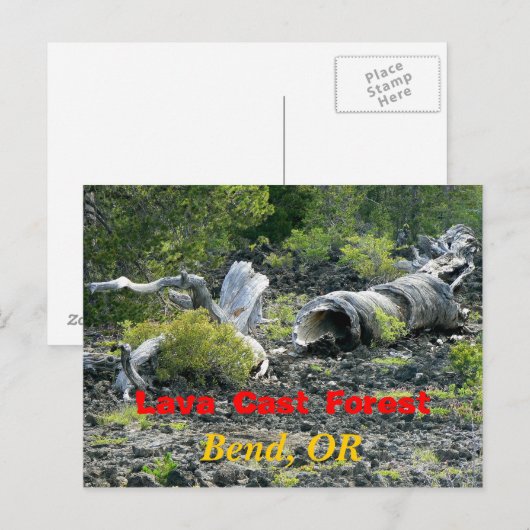 ねじれ破壊 ポストカード (正面/裏面)