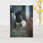 「ねずみのように乾いた」サンキューカード カード (黄色い花)