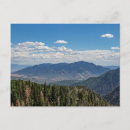 ねぼうループ7月 ポストカード