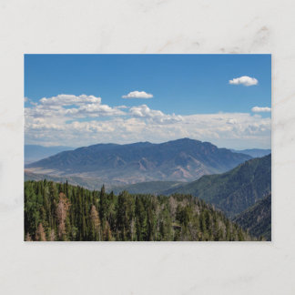 ねぼうループ7月 ポストカード